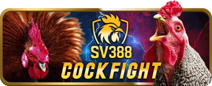 Hình ảnh minh họa các biện pháp bảo mật dữ liệu tiên tiến của Vbet Win