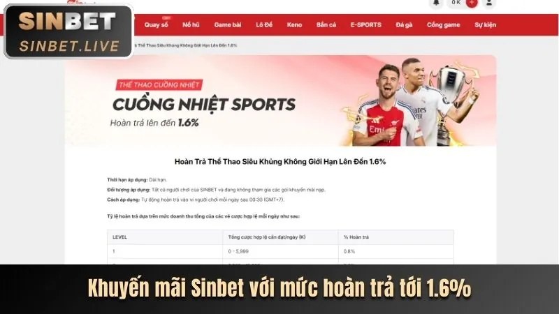 Cá cược bóng đá vbet win